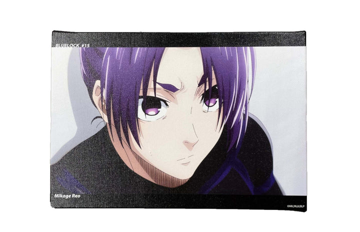 ブルーロック】キャンバスB 御影 玲王 – コレクショントイ 発掘所